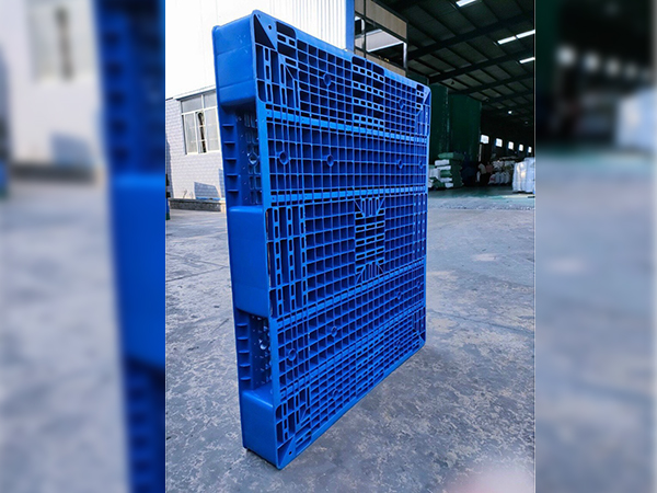Pallet nhựa